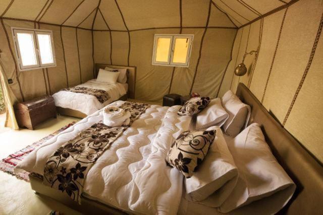 Luxury tent Hamada Activities Luxury Camp